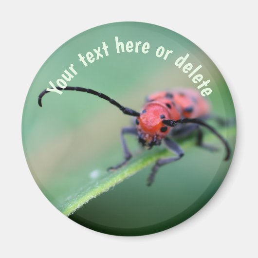 Red Bug With Attitude Nature Personalized Magneet (Voorkant)