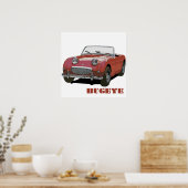 Red Bugeye Poster (Keuken)