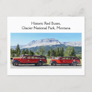 Red Buses, Glacier National Park, Montana Briefkaart