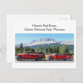 Red Buses, Glacier National Park, Montana Briefkaart (Voorkant / Achterkant)