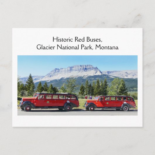 Red Buses, Glacier National Park, Montana Briefkaart (Voorkant)