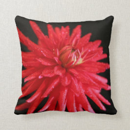 Red Cactus Dahlia Kussen