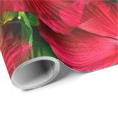 Red..... Cadeaupapier (Rol Hoek)