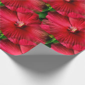 Red..... Cadeaupapier (Hoek)