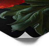 Red California Poppy Flowers Art Print Poster (Hoek)