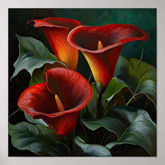 Red Calla Lilies Lily Bloemenkunst Print Poster (Voorkant)