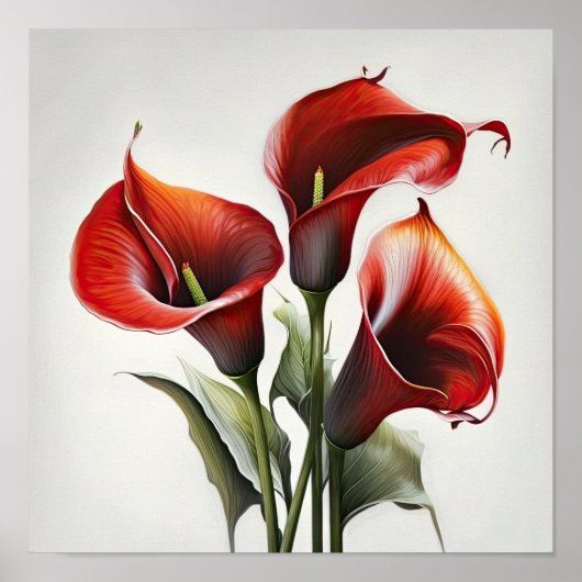 Red Calla Lilies Lily Bloemenkunst Print Poster (Voorkant)