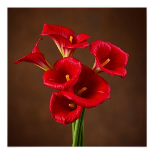 red callas perfect poster (Voorkant)