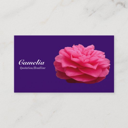 Red Camelia - Deep Paars 330066 Visitekaartje (Voorkant)