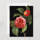 Red Camellia, 1833 Briefkaart (Voorkant / Achterkant)