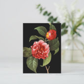 Red Camellia, 1833 Briefkaart (Staand voorkant)