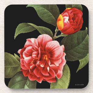 Red Camellia, 1833 Drankjes Onderzetter