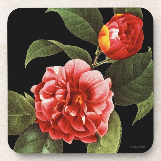 Red Camellia, 1833 Drankjes Onderzetter (Voorkant)
