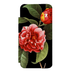 Red Camellia, 1833