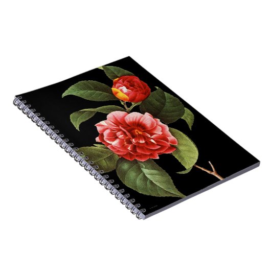 Red Camellia, 1833 Notitieboek (Rechterzijde)