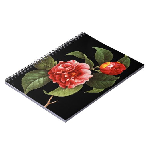 Red Camellia, 1833 Notitieboek (Linkerzijde)