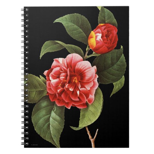 Red Camellia, 1833 Notitieboek (Voorkant)