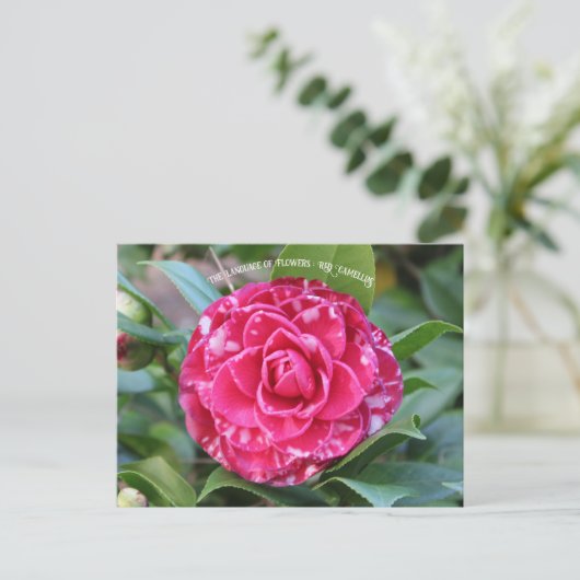 Red Camellia Briefkaart (Staand voorkant)