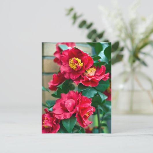 Red Camellia Briefkaart (Staand voorkant)