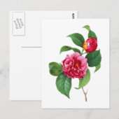 Red Camellia door Pierre Joseph Redoute Briefkaart (Voorkant / Achterkant)