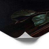 Red Camellia Flowers Art Print Poster (Hoek)