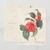 Red Camellia Japonica Botanisch Briefkaart (Voorkant / Achterkant)