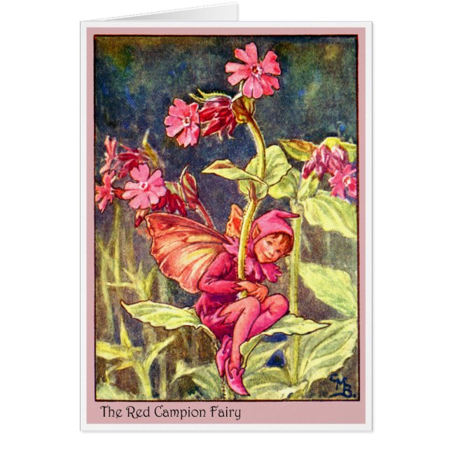 Red Campion Fairy (Voorkant)