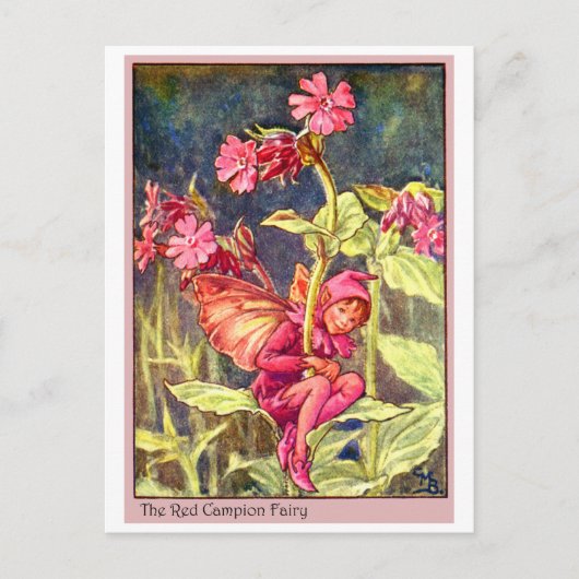 Red Campion Fairy Briefkaart (Voorkant)