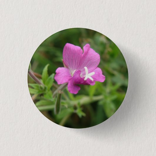 Red Campion Wildflower Button (Voorkant)