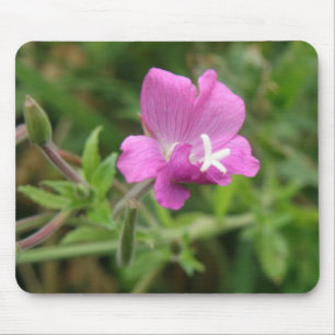 Red Campion Wildflower Mousepad Muismat