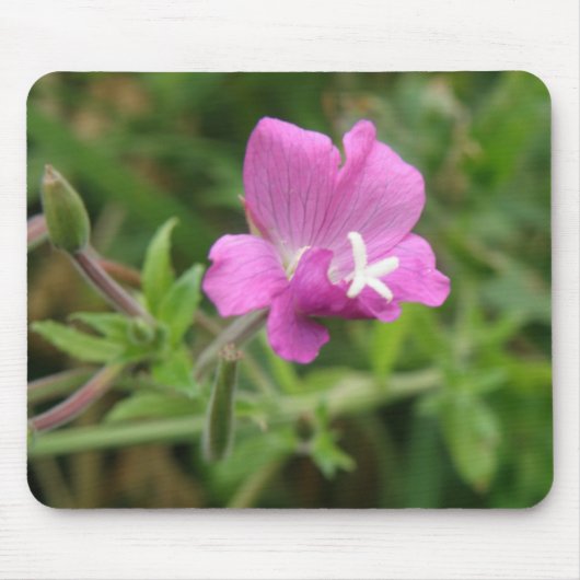 Red Campion Wildflower Mousepad Muismat (Voorkant)