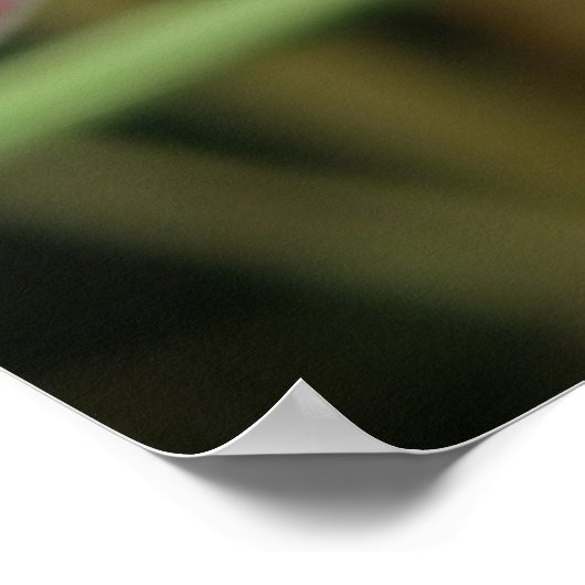 Red Campion Wildflower Print (Hoek)