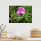 Red Campion Wildflower Print (Keuken)
