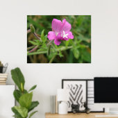 Red Campion Wildflower Print (Thuiskantoor)