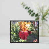 Red Canyon Glow Briefkaart (Staand voorkant)