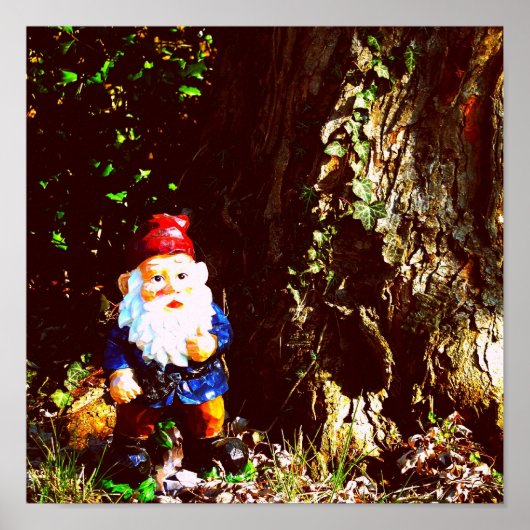 Red Capped Gnome Poster (Voorkant)