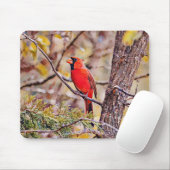 Red Cardinaal Bird Art Muismat (Met muis)