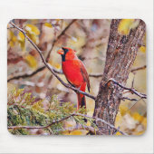 Red Cardinaal Bird Art Muismat (Voorkant)