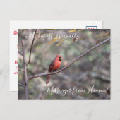 Red Cardinaal Messenger van Heaven Sympathie Briefkaart (Voorkant / Achterkant)