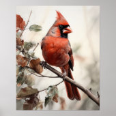 Red Cardinal Bird Art Print Poster (Voorkant)
