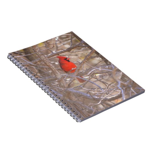 Red Cardinal Bird in Tree Notitieboek Journal (Rechterzijde)