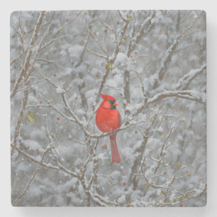 Red Cardinal Bird on Snow Tree Holiday Onderzetter