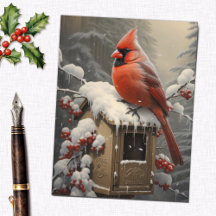 Red Cardinal Bird op een mailbox
