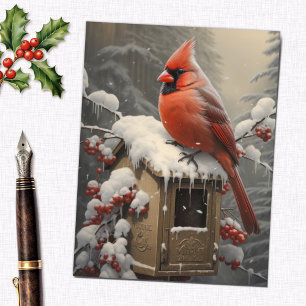 Red Cardinal Bird op een mailbox Briefkaart