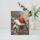 Red Cardinal Bird op een mailbox Briefkaart (Staand voorkant)