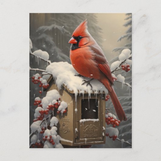 Red Cardinal Bird op een mailbox Briefkaart (Voorkant)