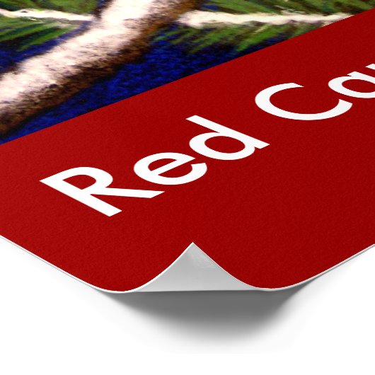 RED CARDINAL BIRD Poster (Hoek)
