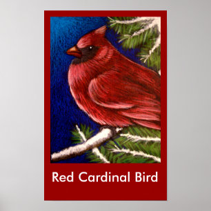 RED CARDINAL BIRD Poster