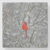 Red Cardinal Bird Snow Onderzetter (Voorkant)