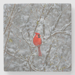 Red Cardinal Bird Snow Onderzetter